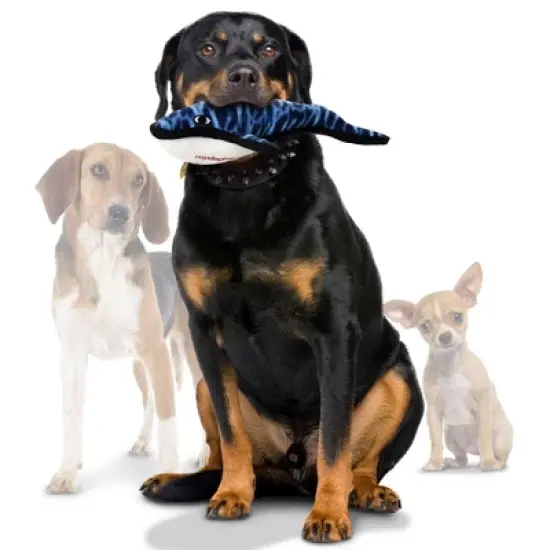 Tuffy Ocean Creature Whale Dog Toy - Blue - L image {1}