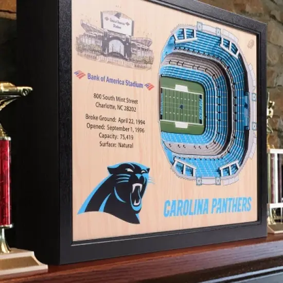 NFL Carolina Panthers 25-Layer StadiumViews 3D Wall Art image {1}