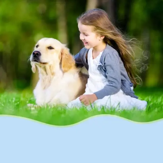 Unique Bargains Breathable Dog Muzzle Blue 1 Pc image {4}