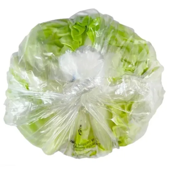 Fresh Organic Green Cabbage - each image {1}