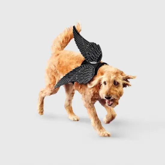 Raven Wings Dog Costume Accessories - Boots & Barkley&trade; image {5}