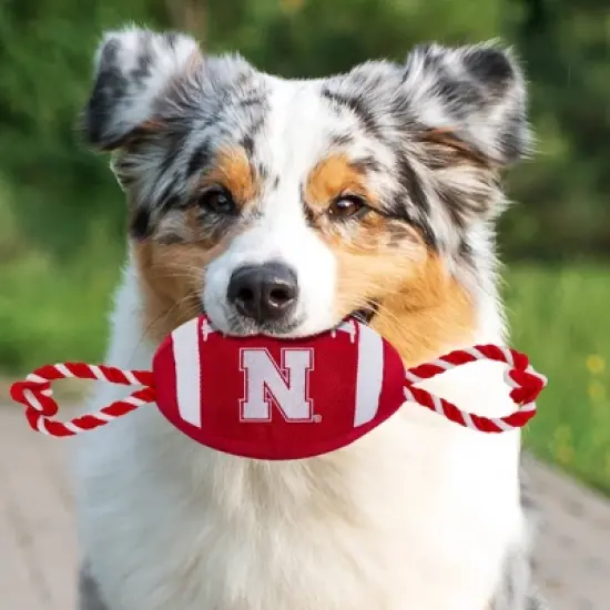 NCAA Nebraska Cornhuskers  Nylon Football Dog Toy image {2}