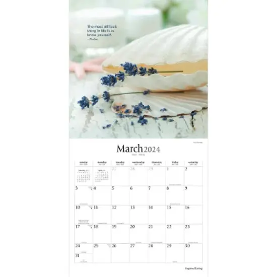 Brush Dance 2024 Wall Calendar 12"x12" Inspired Living image {2}