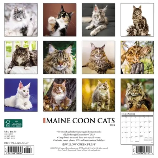 Willow Creek Press 2024 Wall Calendar 12"x12" Just Maine Coon Cats image {1}