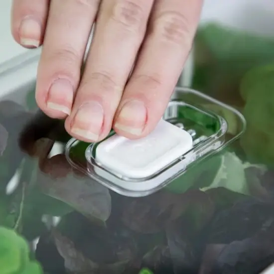 OU Fridge Organizer Bin with Drain Basket & Vented Lid, 5.3qt Clear Stackable Refrigerator Storage Bin, Produce Kitchen Storage Container, BPA Free image {10}