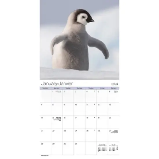 Trends International Inc. 2023-24 Wall Calendar 12"x12" Animal Babies Bilingual English/French image {1}