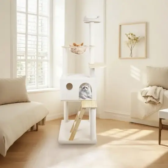 Whisen 65" Cat Tree with Condo & Ladder image {7}