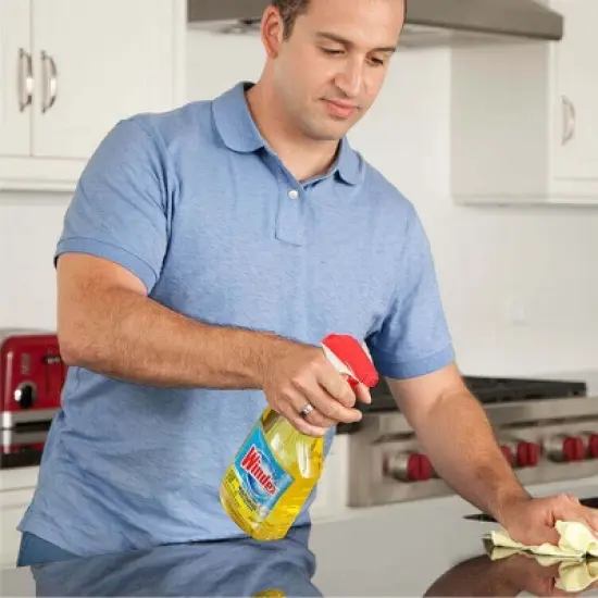 Windex Citrus Fresh Disinfectant Cleaner Multi-Surface Spray - 26 fl oz image {1}