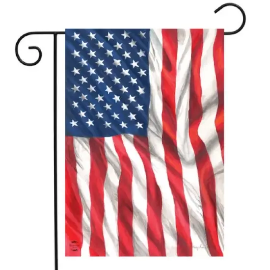 Briarwood Lane Everyday Garden Flag 12x18 For Outdoor American Flag Waving Garden Flag Flags For Outside image {1}