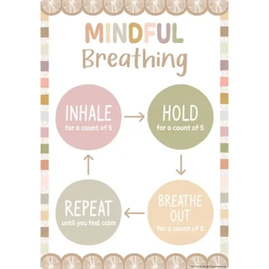 Teacher Created Resources&reg; Terrazzo Tones Positive Practices Small Poster Pack, Pack of 12 image {10}