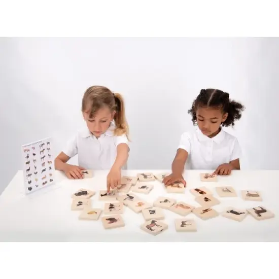 TickiT Domestic Animal Family Match, Set of 28 image {5}