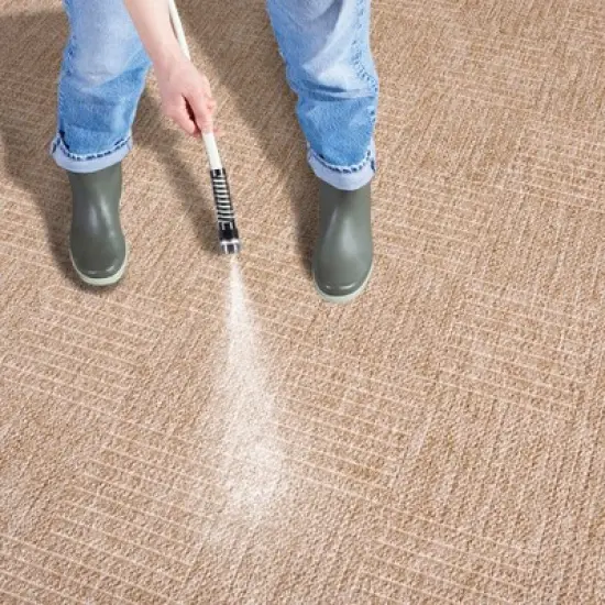 Retreat RTE258 Power Loomed UV Resistant, Stain Resistant, Non-Shedding Indoor/Outdoor Rugs - Safavieh image {6}