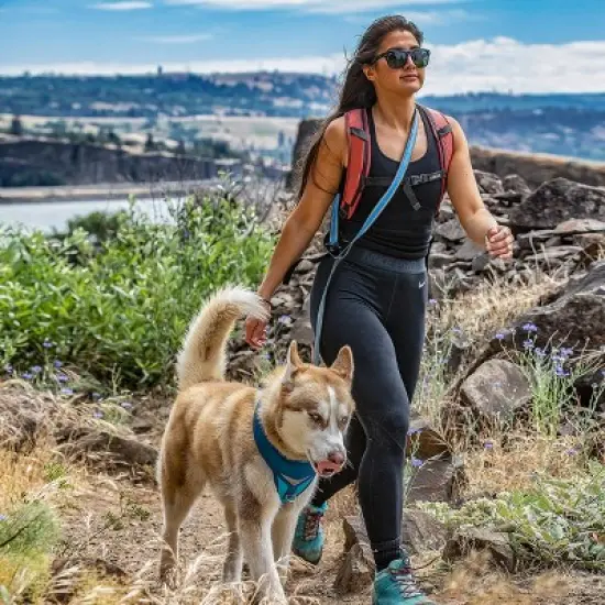 Kurgo Quantum Adjustable Length Dog Leash - 72" image {7}