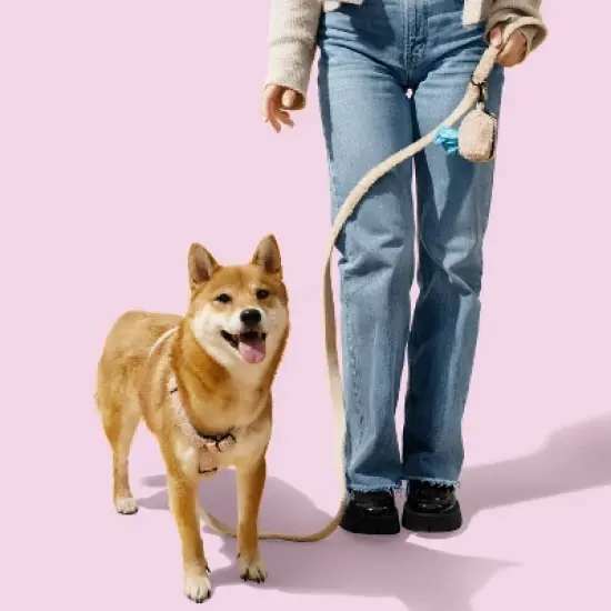 THE LICKER STORE Teddy Boucle Adjustable H Harness and Leash Walk Set with Poop Bag Pouch image {1}