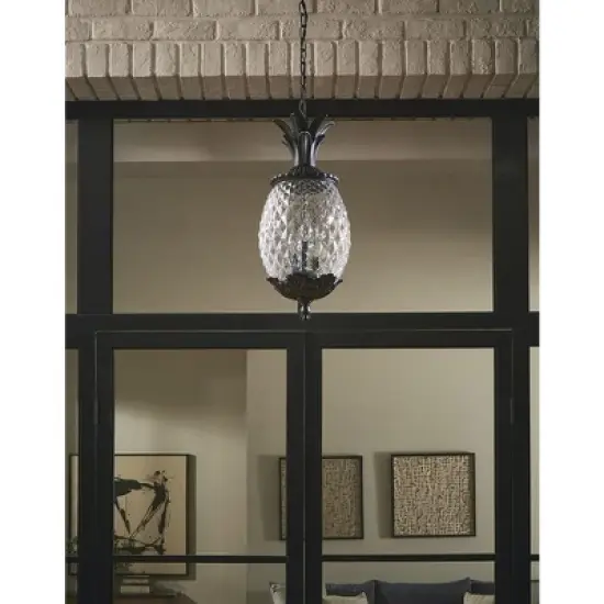Acclaim Lighting Lanai 3 - Light Pendant in  Matte Black image {2}