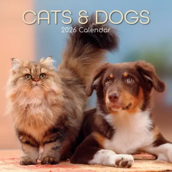 2026 Square Wall Calendar, Cats & Kittens, 16-Month Animals Theme with 180 Reminder Stickers (12x12 In) image {4}