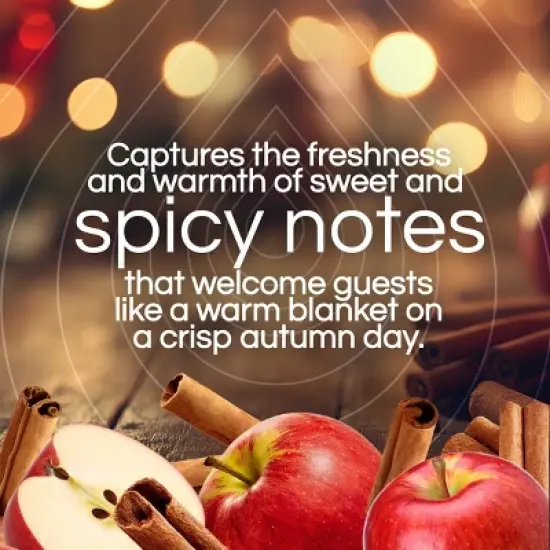 Air Wick Plug-in Scented Oil Air Freshener Refills - Apple Cinnamon Medley - 4pk image {3}