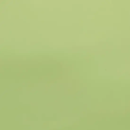 Griffith 3pc Outdoor Conversation Set - Key Lime - Crosley image {6}