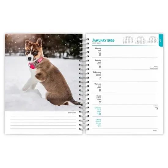 BrownTrout 2025/2026 I Love Puppies 6"x7.75" Spiral-Bound Wire-O Engagement Planner Calendar image {2}