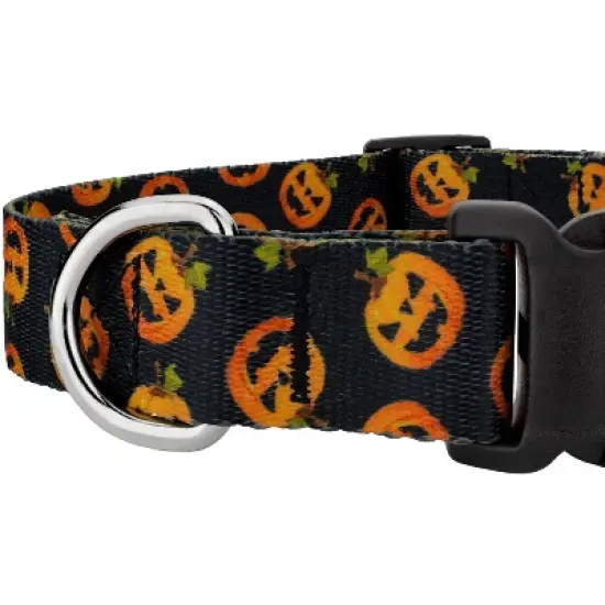 Country Brook Petz Happy Jack Deluxe Dog Collar and Leash image {4}