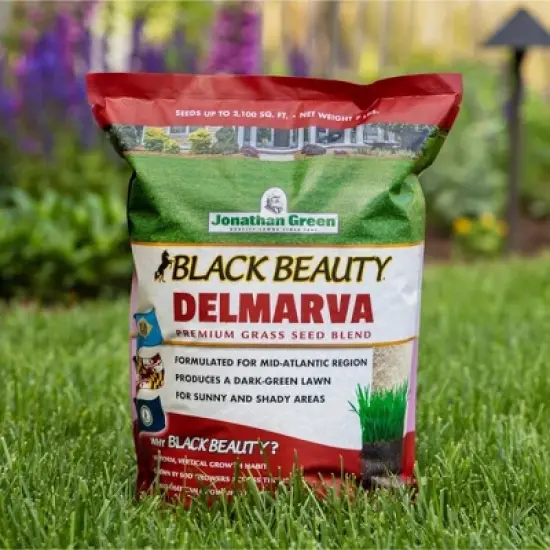 Jonathan Green Black Beauty Delmarva Mix Grass Seed image {2}