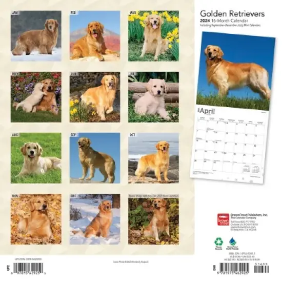 Browntrout 2024 Wall Calendar 12"x12" Golden Retrievers Foiled image {1}