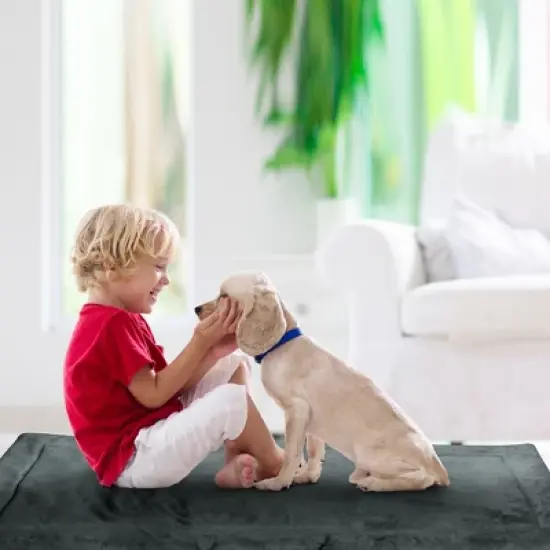 Catalonia Waterproof Dog Mat, Portable Reversible Pet Travel Mat, Pet Cushion Pad with Handle for Small Medium Dogs Cats, Indoor or Outdoor image {5}