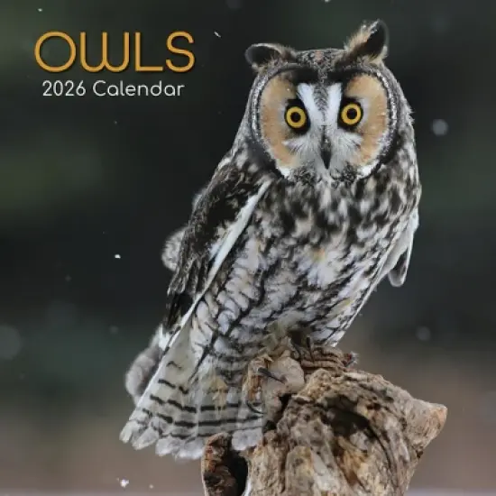 2026 Square Wall Calendar, Owls, 16-Month Animals Theme with 180 Reminder Stickers (12x12 In) image {4}