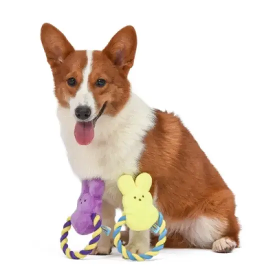 Peeps for Pets Squeaky Rope Dog Toy image {1}