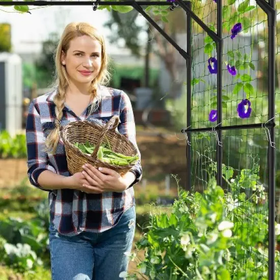 DoCred Tall Garden Arch Trellis for Climbing Plants, 79in Tall Metal Plant Support Trellis Archway for Climbing Vine image {2}