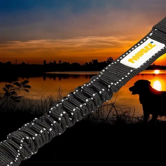 PAWBEE Dog Seat Belt for Car - 2 Car Seat Belts for Dogs - 3-in-1 Easy Clip Dog Car Elastic Seatbelt Adjustable Pet Dog Car Seat Belt + Leash image {4}