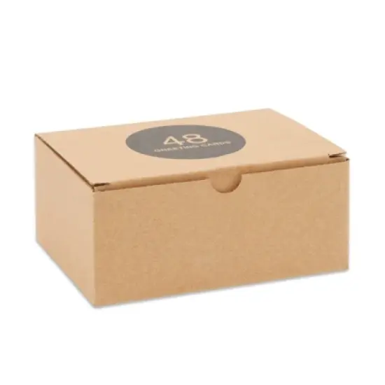 Best Paper Greetings 48 Pack Assorted Birthday Greeting Cards with Envelopes, 6 Colorful Rainbow Ombre Designs (4x6 In) image {7}