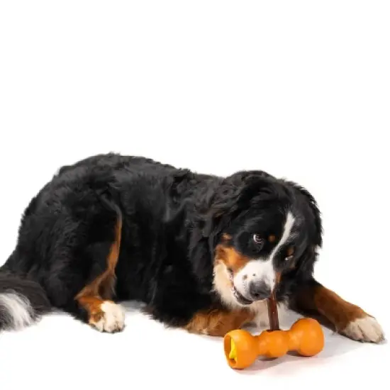 Bow Wow Buddy Safety Device Holder for Dog Bully Sticks and Chews image {5}