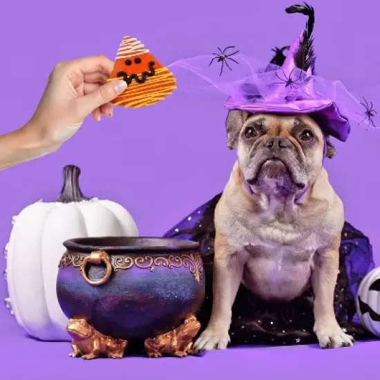 Molly's Barkery Halloween Candy Corn and Bones Apple and Cinnamon Crunchy Dog Treats - 0.15lb image {5}