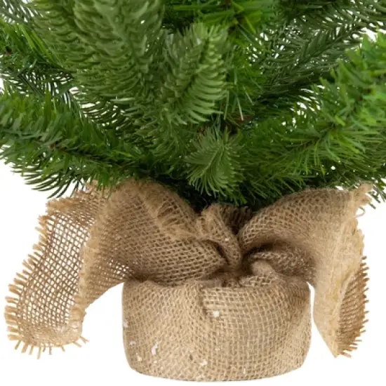 Northlight Real Touch&trade;️ Potted Sarasota Pine Artificial Mini Christmas Tree - 24" - Unlit image {5}