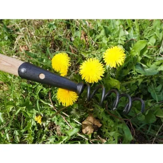DeWit Corkscrew Weeder &ndash; Eco-Friendly Tool for Easy Root Removal image {2}