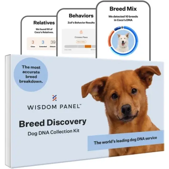 Wisdom Panel Breed Discovery Dog DNA Kit: Most Accurate Dog Breed Identification, Test for 365+ Breeds, MDR1 Health Test, Ancestry, Relatives image {9}