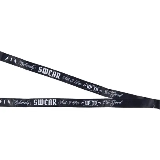 Harry Potter Solemnly Swear Keychain Lanyard ID Holder and Rubber Glasses Charm image {3}