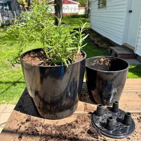 Tierra Garden 7" Round Self-Watering Bamboo Pot image {14}