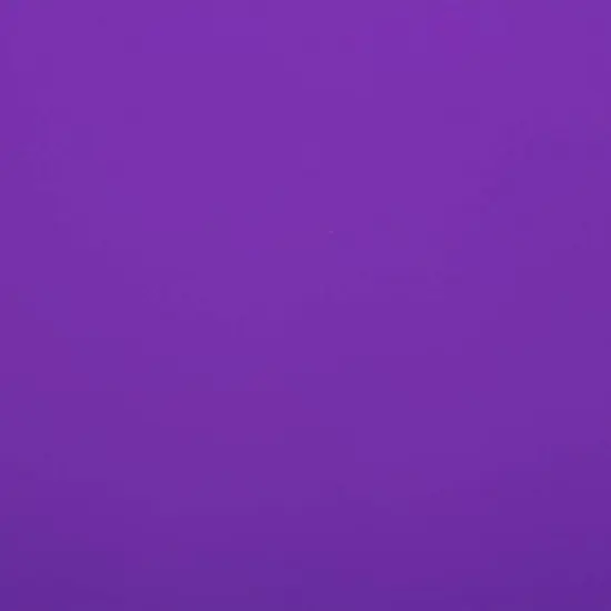 JAM PAPER Purple Glossy Gift Wrapping Paper Roll - 2 packs of 25 Sq. Ft.: Solid Birthday & Christmas Wrap for All Occasions image {2}