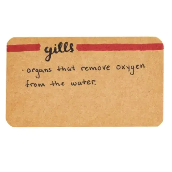 Juvale 250-Pack Blank Index Cards, 2x3.5 in Flashcards for Studying, Small Kraft Paper Cardstock for Making Business Cards, Playing Cards, Brown image {4}