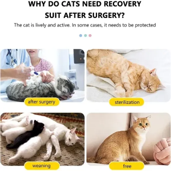 Cat Recovery Suit,Soft Anti-Licking Bodysuit with Adjustable Buckle,E-Collar Substitute,Warm After Shaving Light Blue M image {3}