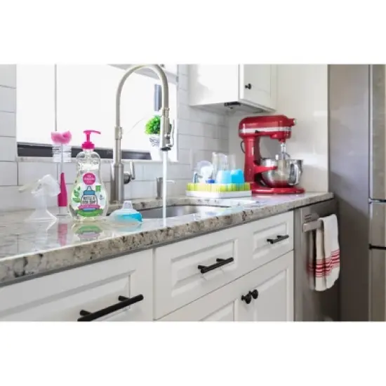 Dapple Bottle and Dish Soap - 16.9 fl oz image {2}