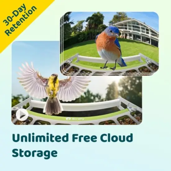 Smart Bird Feeder with Camera, Durable Metal Bird Feeders for Outdoors, AI Identify Bird Species image {6}