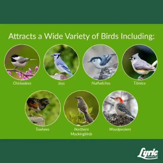 Lyric Woodpecker Wild Bird Seed for Outside Feeders, Shelled, No Waste Bird Seed with Nuts & Dried Fruit, 5 lb Bag image {5}