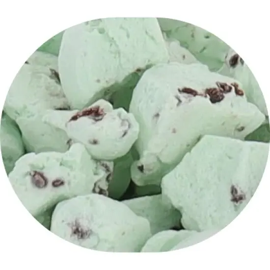 Arctic Farms Freeze Dried Ice Cream That Does Not Melt (Bits) (Mint Chip) image {1}