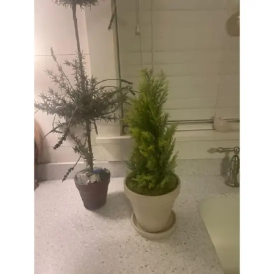 Northlight 1.4 FT Upswept Frosted Cedar Artificial Christmas Tree - unlit image {3}