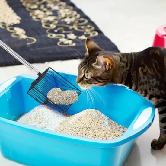 Garvee 3-in-1 Chicken Coop Cleaning Tool with Rake, Shovel & Scoop &ndash; Adjustable Stainless Steel Handle for Poultry Waste, Sand & Bedding image {4}