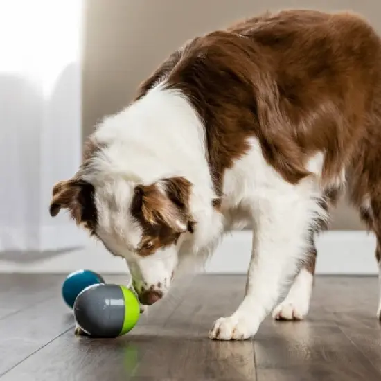 PetSafe Ricochet Battery Dog Toy - Gray image {3}