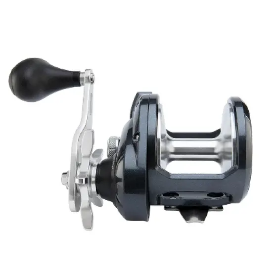 SHIMANO Torium 30PGA Star Drag image {1}